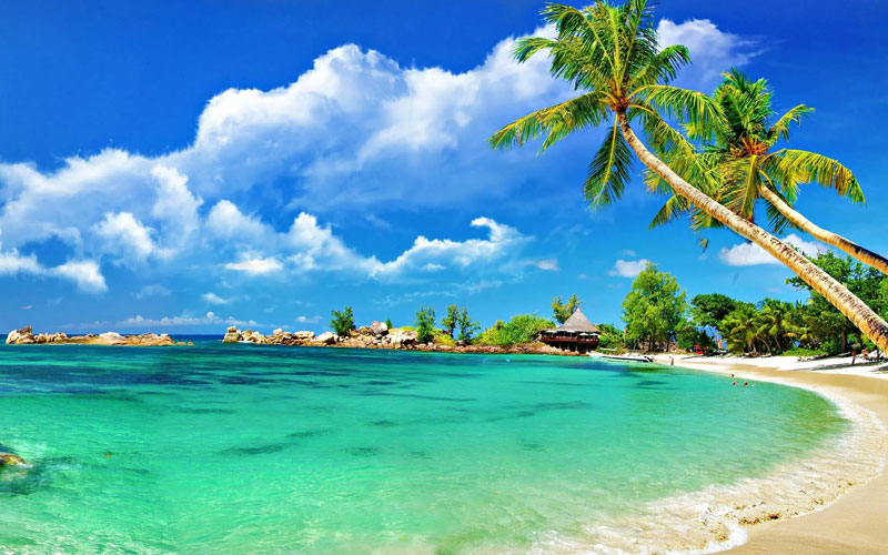 Best Tour And Travel Services In Maharashtra